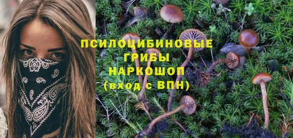 a pvp Алексеевка